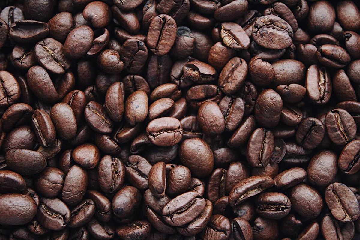 Green coffee samples in trays before the roast schedule is set