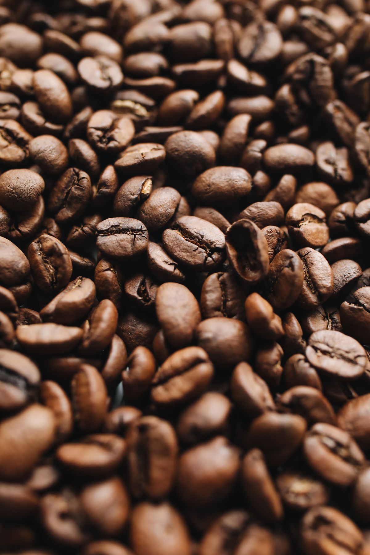 Filter bar setup for an event brew with two rest windows